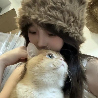 公猫封面